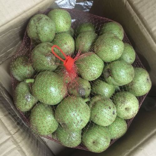 生鲜 青皮核桃 湿核桃 带皮鲜核桃 2.5kg包邮