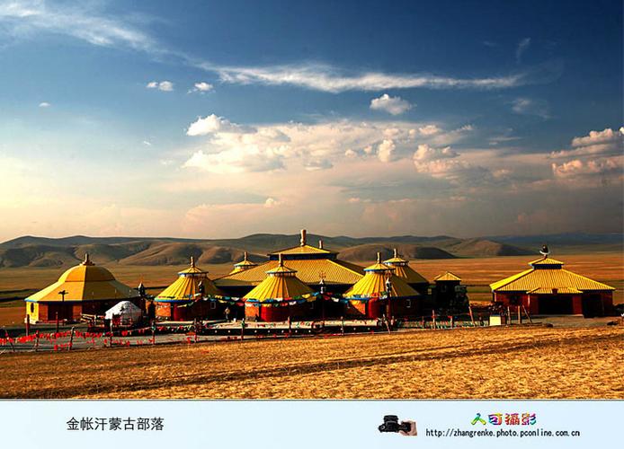 金帐汗蒙古部落