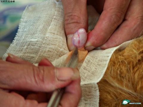 上尉☆小朋の部落格