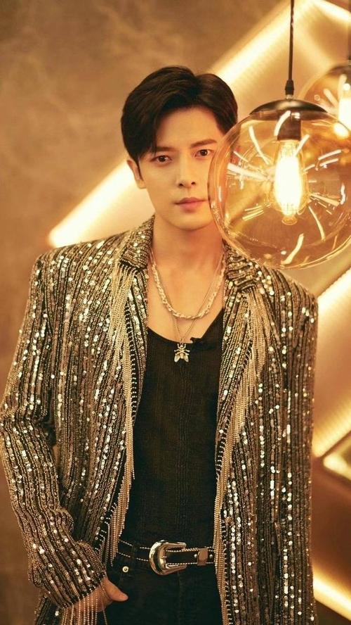 付辛博男团选秀出道,再次参加《追光吧哥哥》颜值与