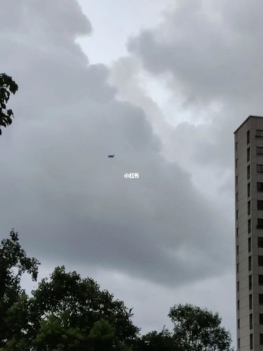 上海刮风_放风筝_上海天气_生活记录_接地气生活