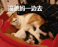 给我冲猫和老鼠汤姆猫猫和老鼠汤姆表情