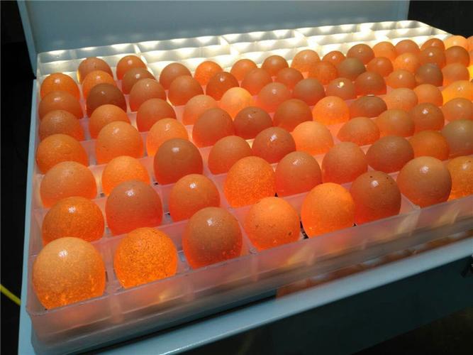 150枚整盘大型照蛋器孵化专用led冷光鸡鸭鹅种蛋照蛋灯胚胎发育