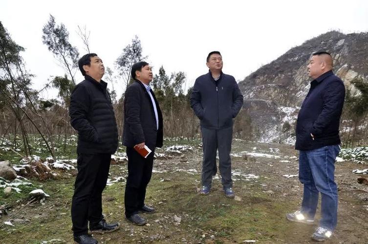 【工作动态】龚新伟到我办督导检查关闭矿山生态环境恢复治理工作