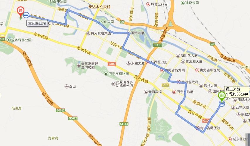 西宁儿童医院到海湖新区文成路16号做几路公交车?
