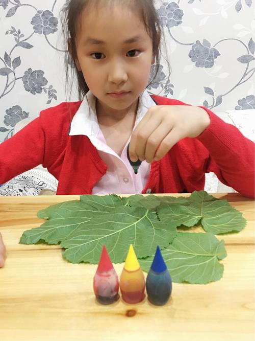 七彩蚕宝宝变形记