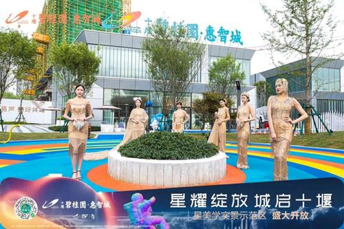 燃!十堰碧桂园·惠智城"星"美学实景示范区震撼开放,圈粉无数!