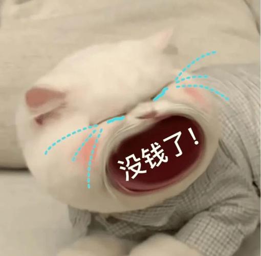 大嘴猫表情包2猫咪张大嘴巴表情包