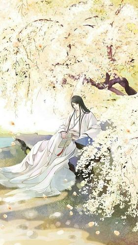 求公子世无双图片,有文字的,可以当小说封面的,我急用