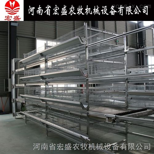河南宏盛立式蛋鸡笼 育雏笼自动化养鸡设备