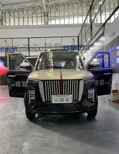 老头乐这么快山寨大红旗suv大队书记专车吗