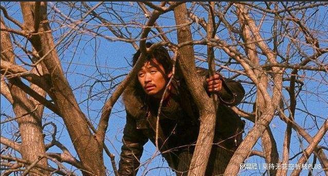 每天一个小故事树哥的发财娶妻法