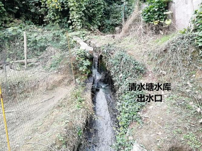 清水塘水库出水口.(水质很差,很臭.)