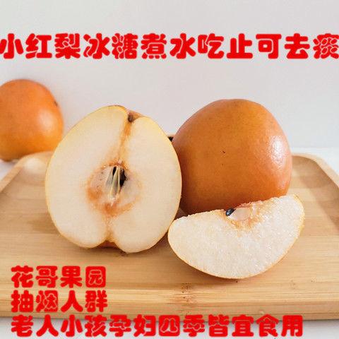 红梨宝宝咳嗽新鲜孕妇水果梨子酸沙梨河北魏县小红梨冰糖煮水雪梨拼团