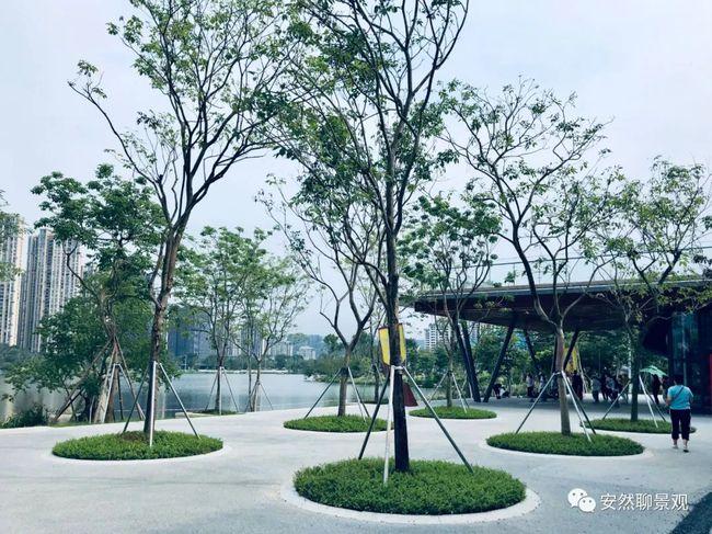 大v推荐 | 福州公园一瞥,打卡晋安湖公园(一期)