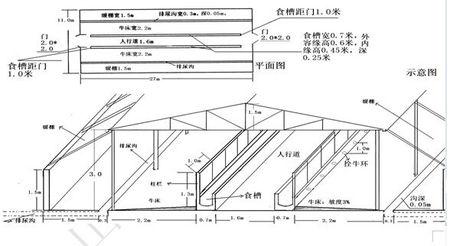 下面,大汉养殖场就给大家一组养牛场牛棚建设图,大家在建造牛棚的时候