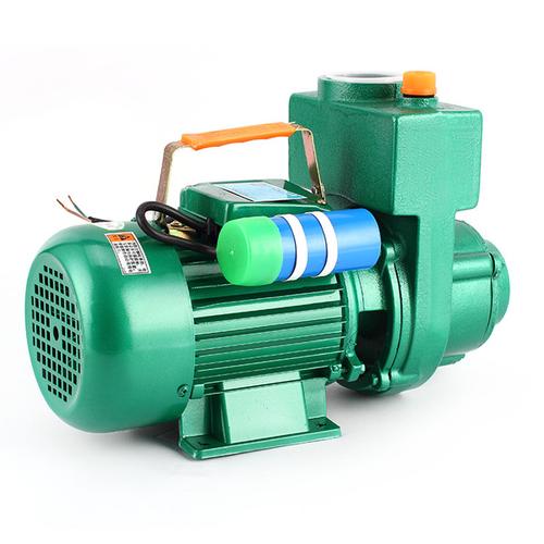 家用井水吸水泵 农用灌溉抽水泵 220v 寸 2 型大流量自吸离心泵 dk