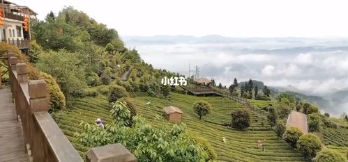 超美 湄潭云贵山_风景_云贵山_自然风光分享_出行