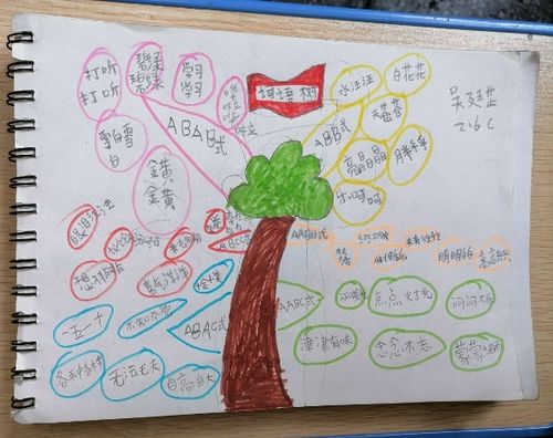 南二小二年级六班—《词语搭配》思维导图作业展示
