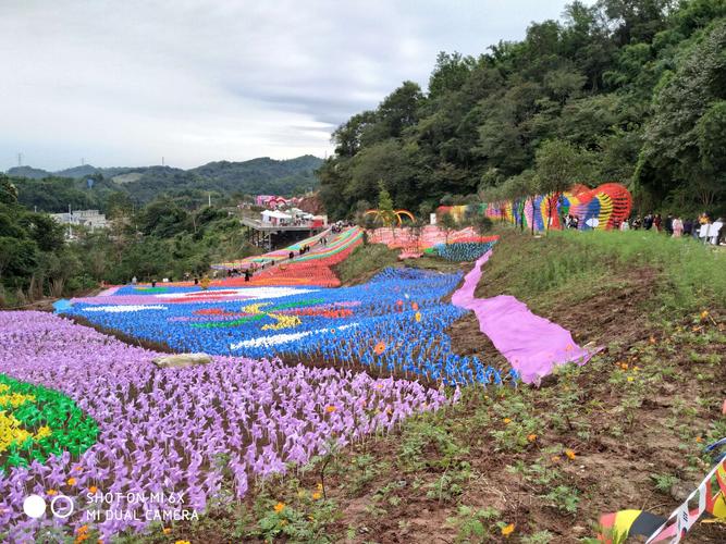 国庆节畅游雅安一一凤鸣谷