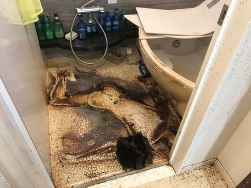 日本死亡清理人:专扫死过人的房子,尸体腐烂越严重收费越高