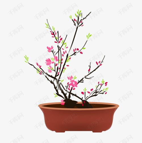 手绘植物开花盆栽