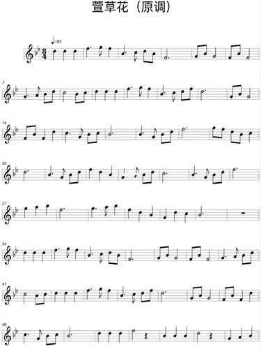 萱草花小提琴谱_小提琴_娱乐_音乐