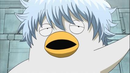 银魂伊丽莎白出场集数银魂里伊丽莎白里面到底是谁哪集里说的