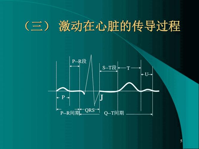 心电图基本知识课件