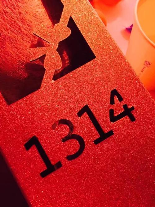 1314让爱情奔跑