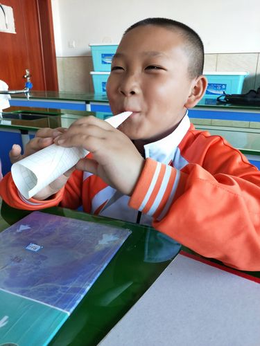 公平小学4年级《制作乐器》