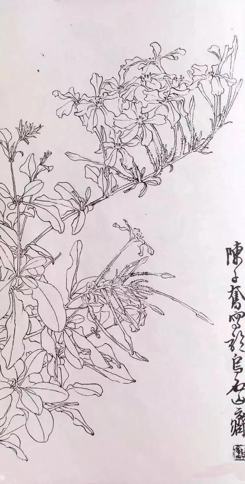 国画家陈子奋白描作品欣赏