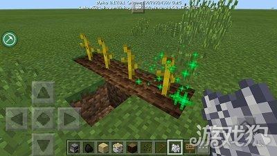 我的世界骨粉有什么作用 骨粉解析