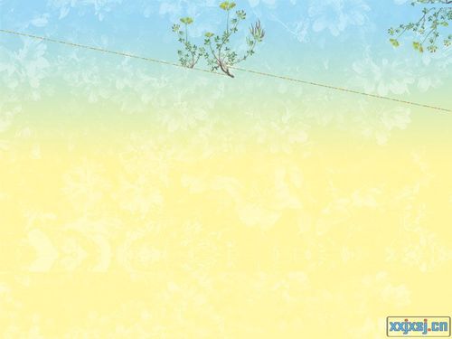 相信花纹幻灯片背景图片01会让教师朋友做出更好看的课件,欢迎教师