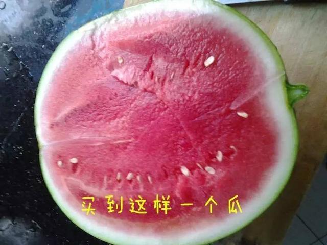 大棚西瓜一般成熟期为35天左右,成熟的西瓜籽黑;而催熟的西瓜,由於