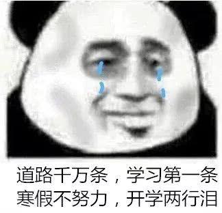 道路干万条学习第一条寒假不努力开学两行泪