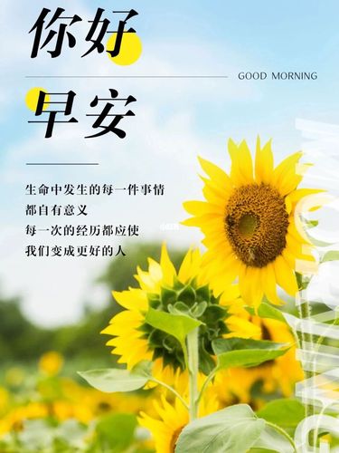 朋友圈8715早安图文94_朋友圈_文案_向日葵_早安朋友圈文案图片