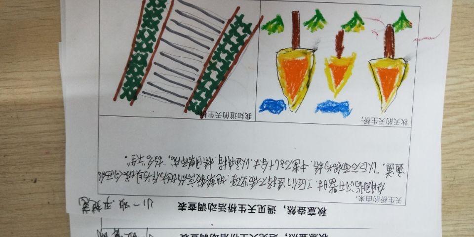 讲解出行的注意事项,我们和爸爸妈妈填写天生桥的调查表!