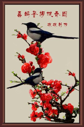 美文 琛琛美篇～喜鹊登梅报春图 写美篇 夜明珠和喜鹊都是吉祥物,内涵