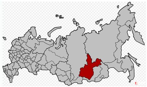 伊尔库茨克州森林非法采伐量有所减少【批木网】