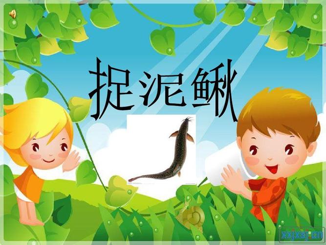 捉泥鳅课件ppt