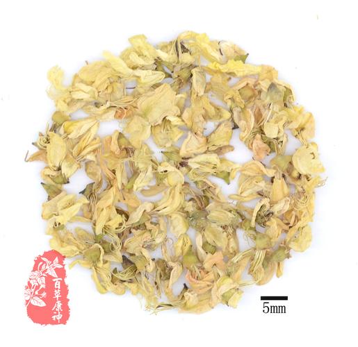 首页 中药数字标本馆 槐花                                 槐花