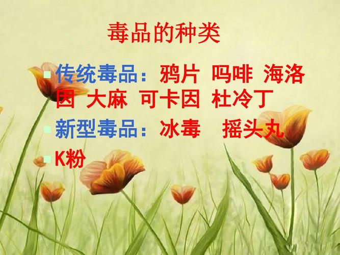 安全与禁毒教育.ppt