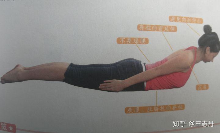 如何无器械锻炼腰方肌?