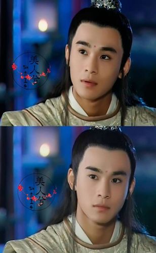 雪花女神龙 董璇的女神龙和乔振宇的欧阳明月永远是古装武侠剧里的 意