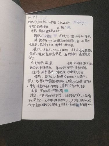 我的哈利波特人设_哈利波特_兴趣爱好_书法