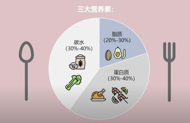 碳水化合物|营养素|脂肪|糖类
