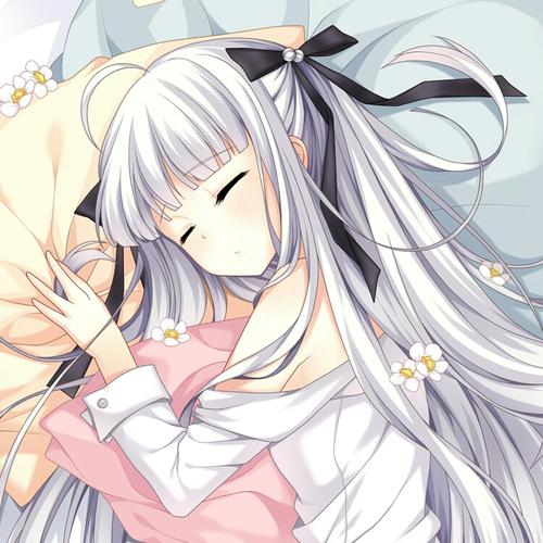 アブソリュート·デュオ p站 pixiv 绝对双刃 萌 人物 头像 次元 封面