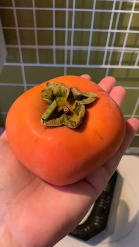 日本超市看到的柿子