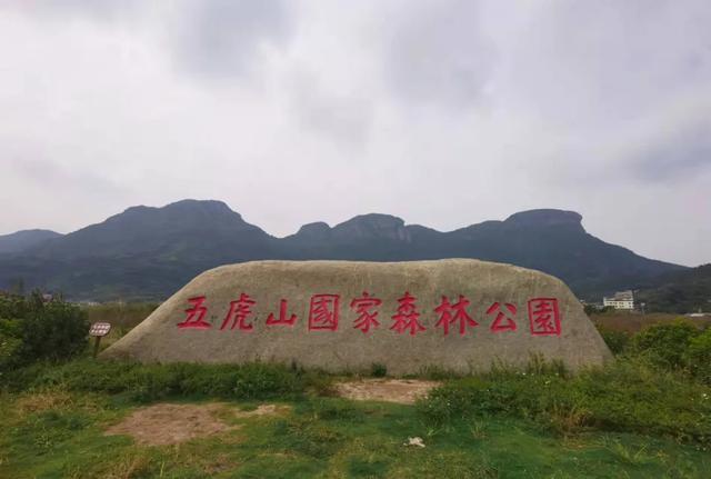 大美五虎山,美在天成|方山|天池|森林公园|灵岩_网易